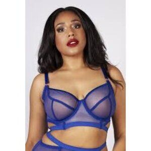 Gabi Fresh X Playful Promises Blue Sheer Mesh Bra 38DDD/F Adjustable Straps Unde